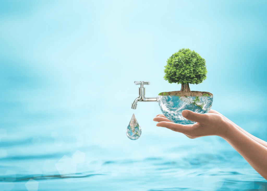 Impacto Ambiental Positivo de los Filtros de Agua Leveluk