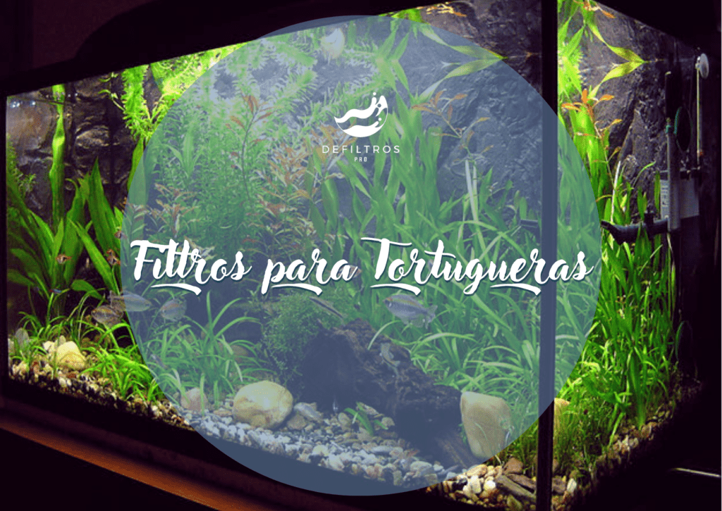 Filtros para Tortugueras