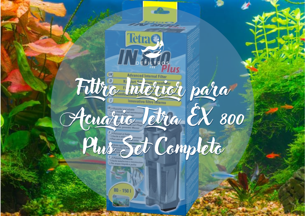 Filtro Interior para Acuario Tetra EX 800 Plus Set Completo - Una Reseña Detallada